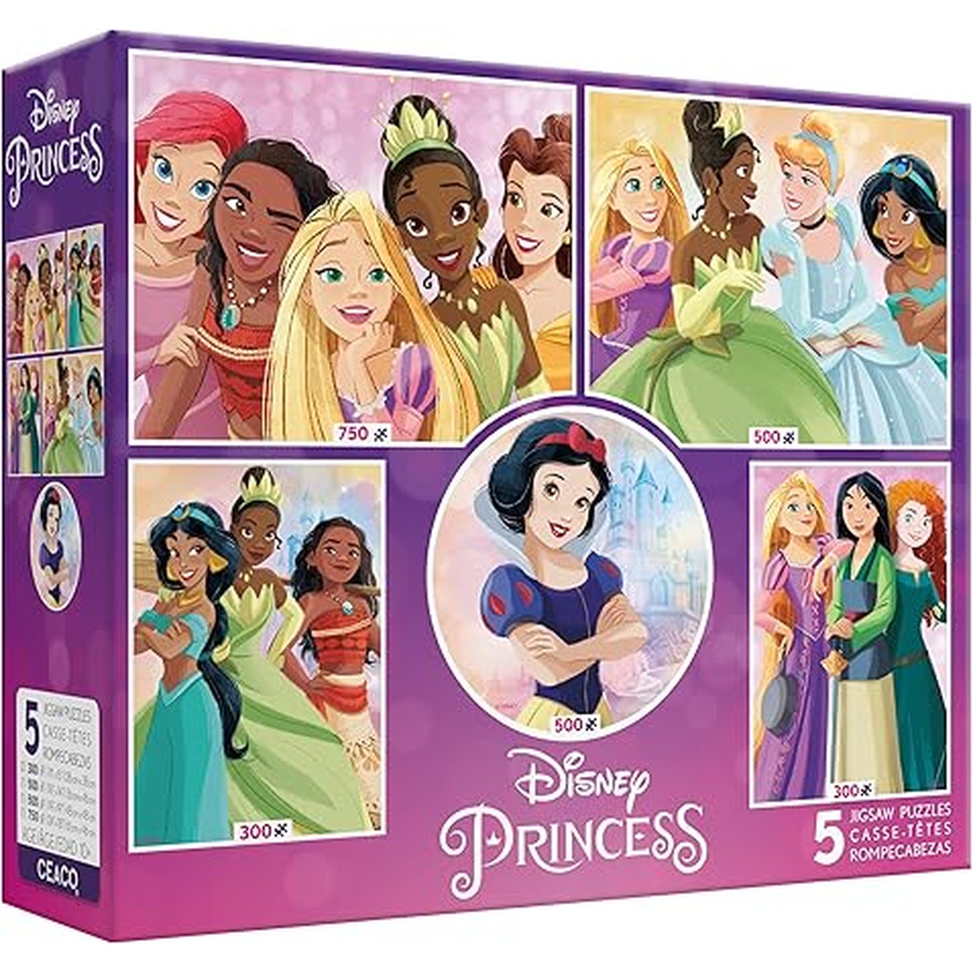 Ceaco - 5 in 1 Multipack - Disney Princess - (2) 300 Piece